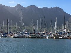 Suedafrika (490)